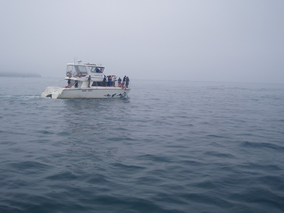 217   30 01   Kaikoura